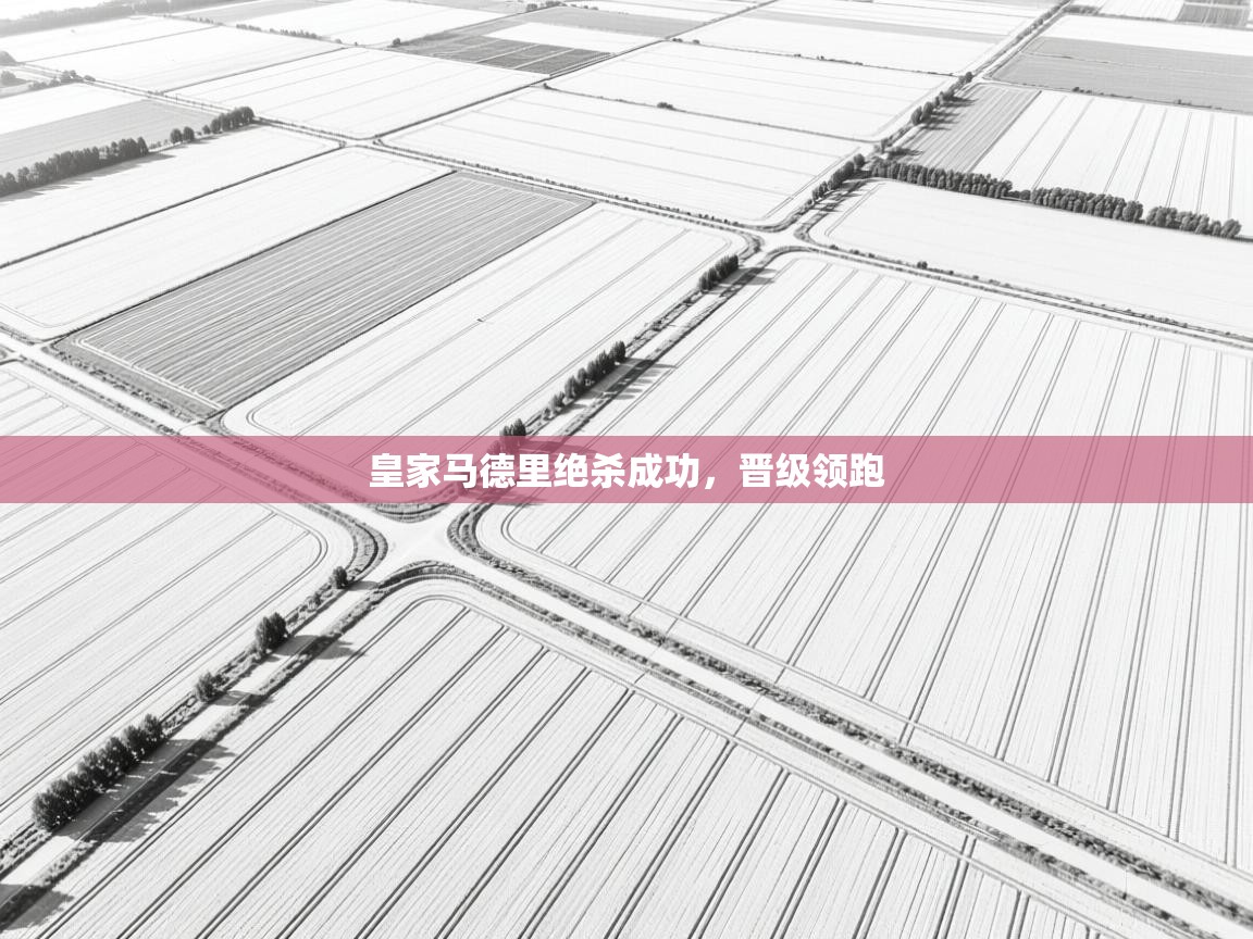 皇家马德里绝杀成功，晋级领跑