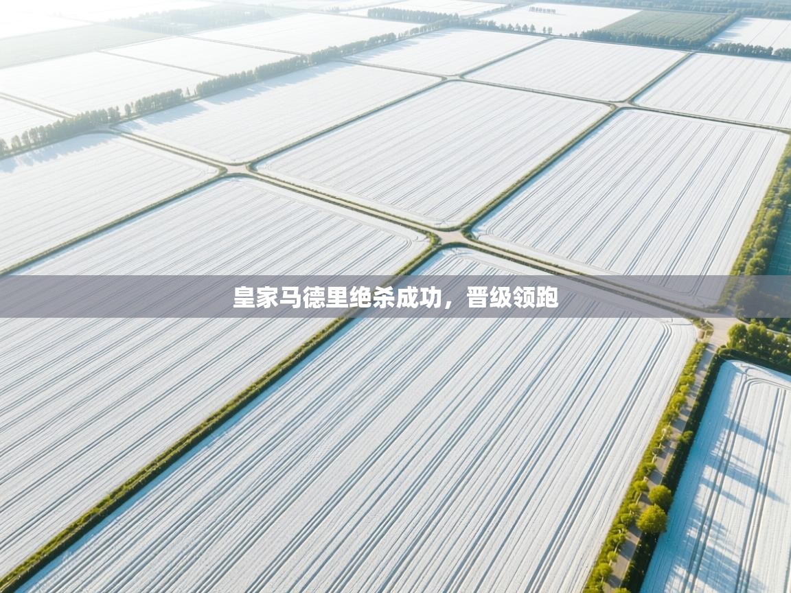 皇家马德里绝杀成功，晋级领跑  第2张