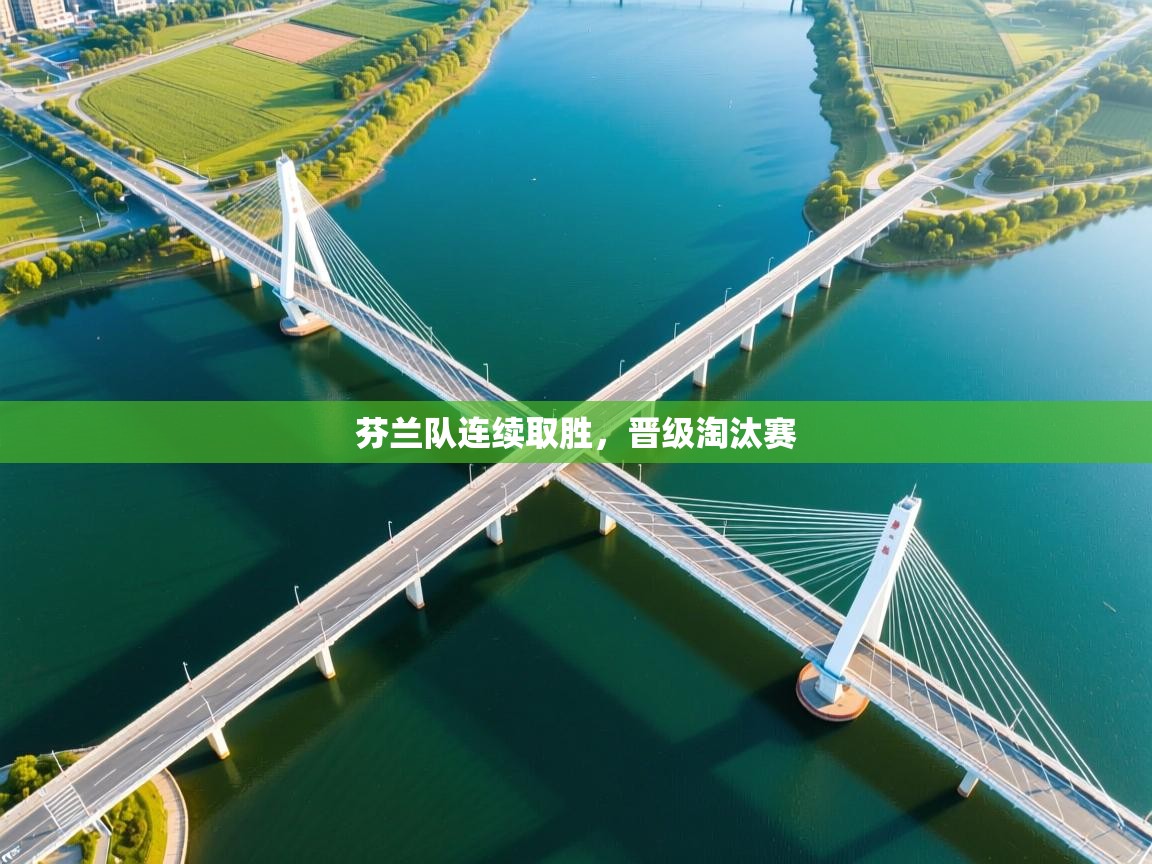 芬兰队连续取胜，晋级淘汰赛