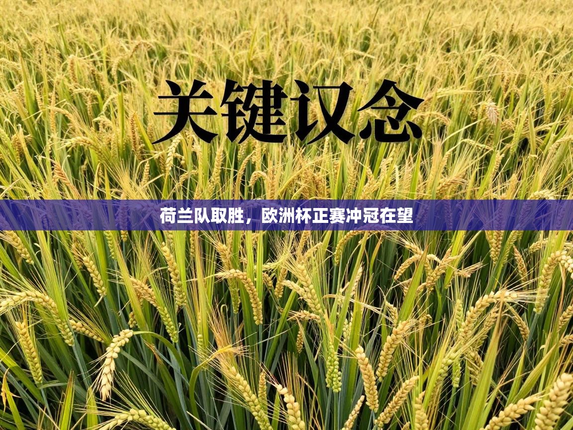 荷兰队取胜，欧洲杯正赛冲冠在望  第1张