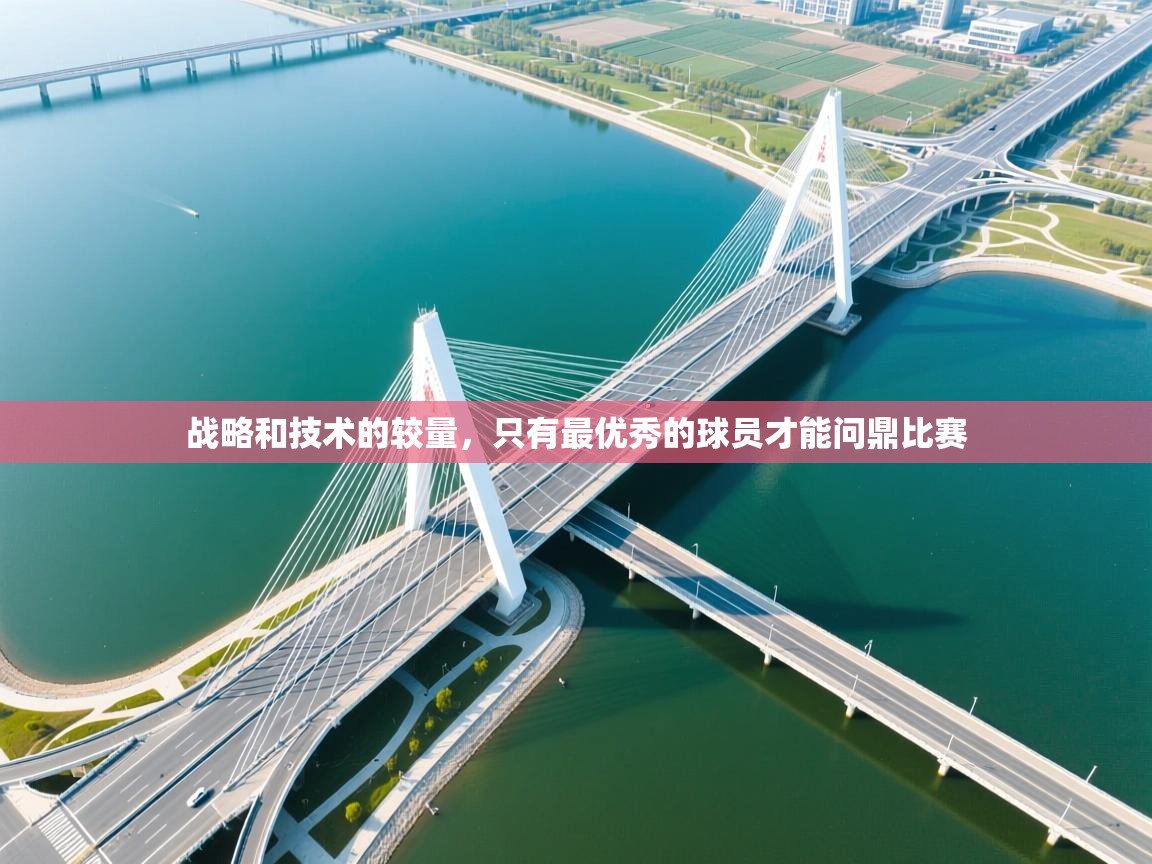 战略和技术的较量，只有最优秀的球员才能问鼎比赛  第2张