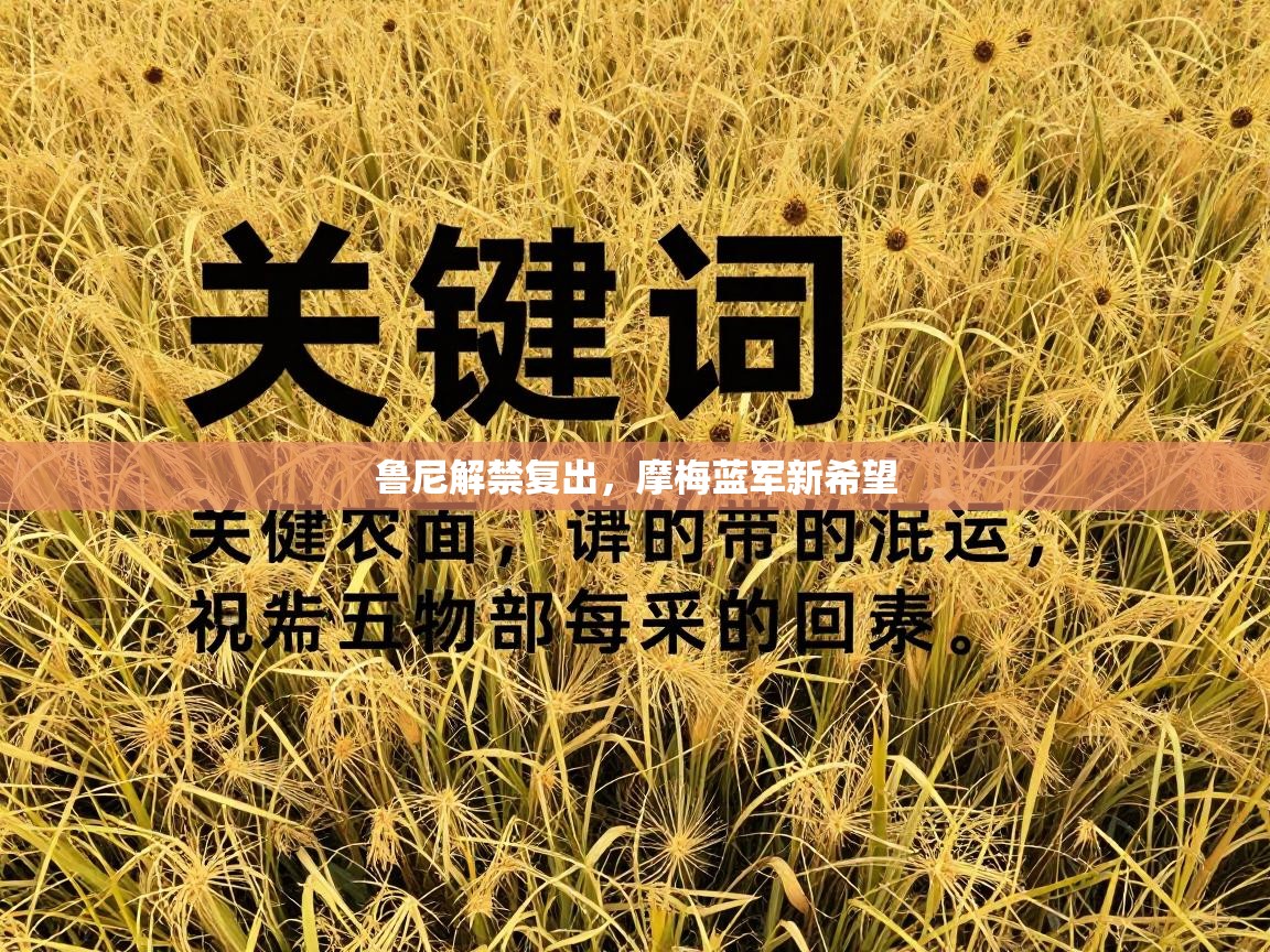 鲁尼解禁复出，摩梅蓝军新希望  第1张