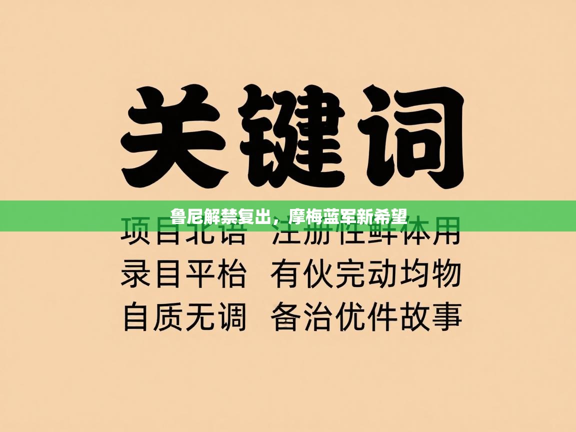 鲁尼解禁复出，摩梅蓝军新希望  第2张