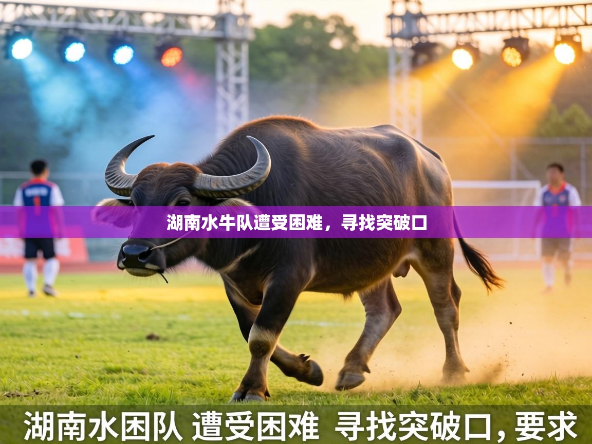 湖南水牛队遭受困难，寻找突破口  第1张