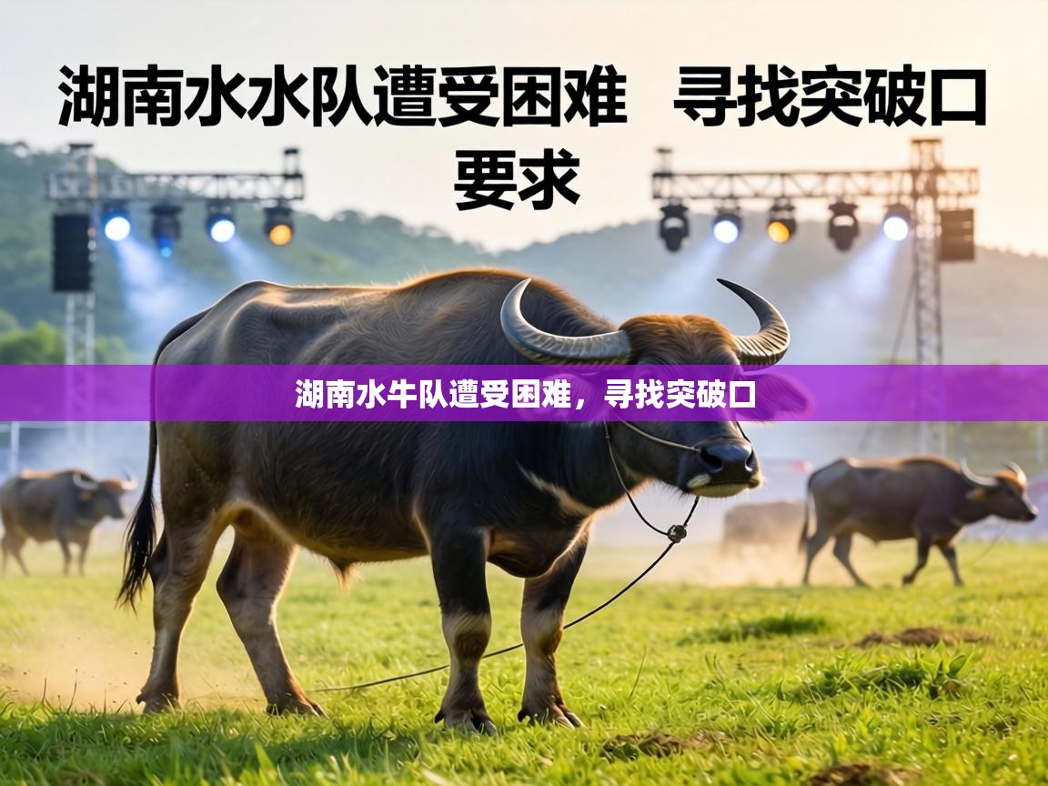 湖南水牛队遭受困难，寻找突破口  第2张
