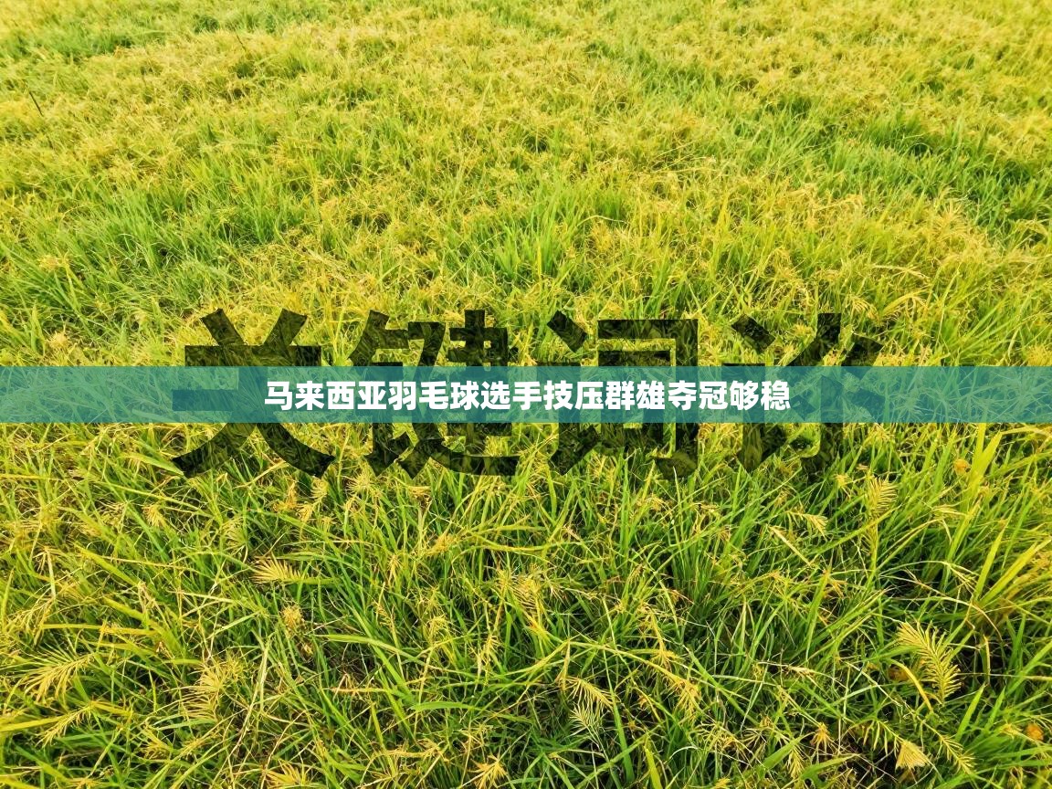 马来西亚羽毛球选手技压群雄夺冠够稳  第2张