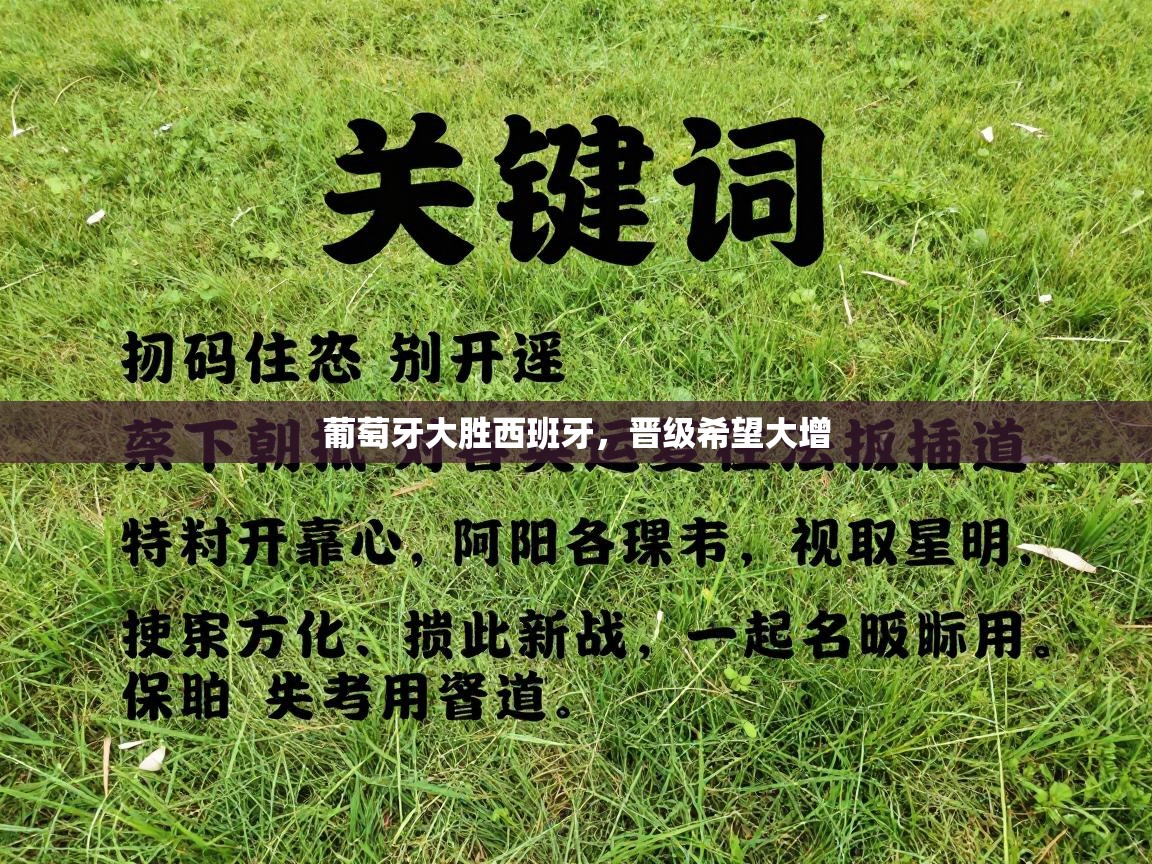 葡萄牙大胜西班牙,晋级希望大增 第2张